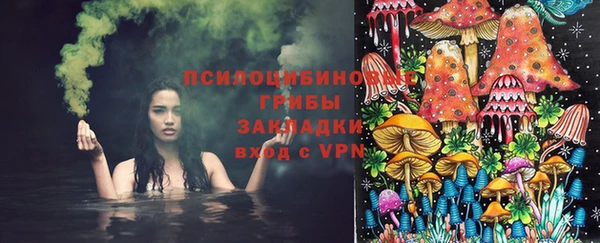 а пвп мука Абаза