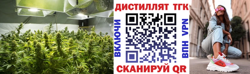ТГК гашишное масло  Прохладный 