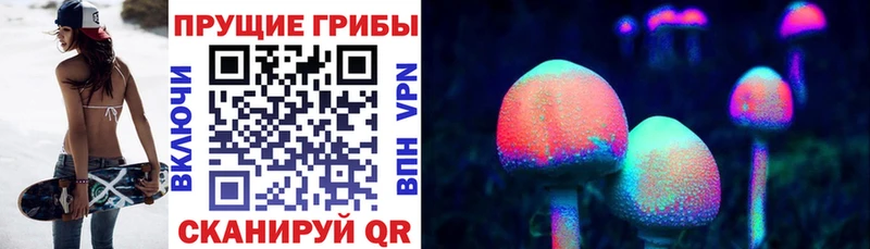 где продают наркотики  Прохладный  omg вход  Галлюциногенные грибы мицелий 