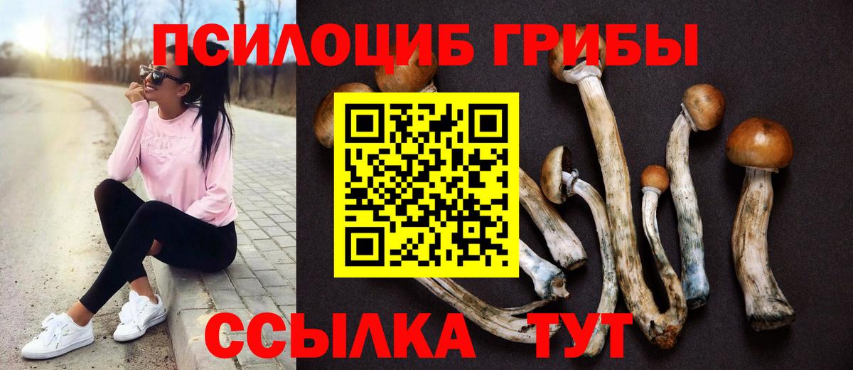 Прохладный  Псилоцибиновые грибы ЛСД  Вход с VPN 