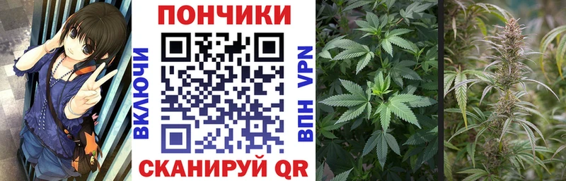 Каннабис LSD WEED  купить наркоту  Прохладный 