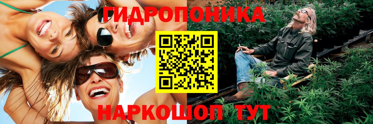 МАРИХУАНА план  Вход с VPN  Канабис гибрид  Прохладный 